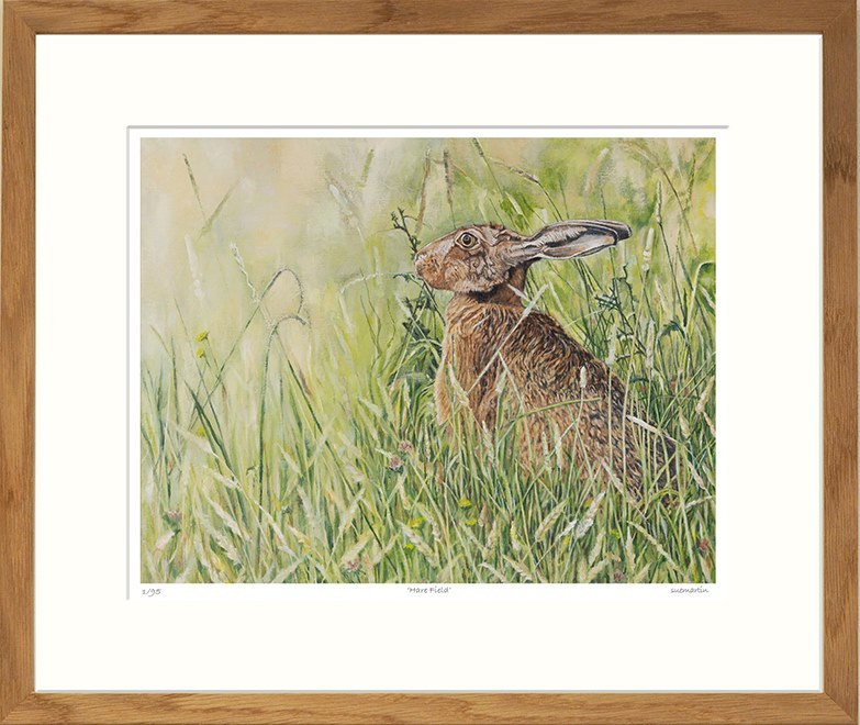 Hare Meadow